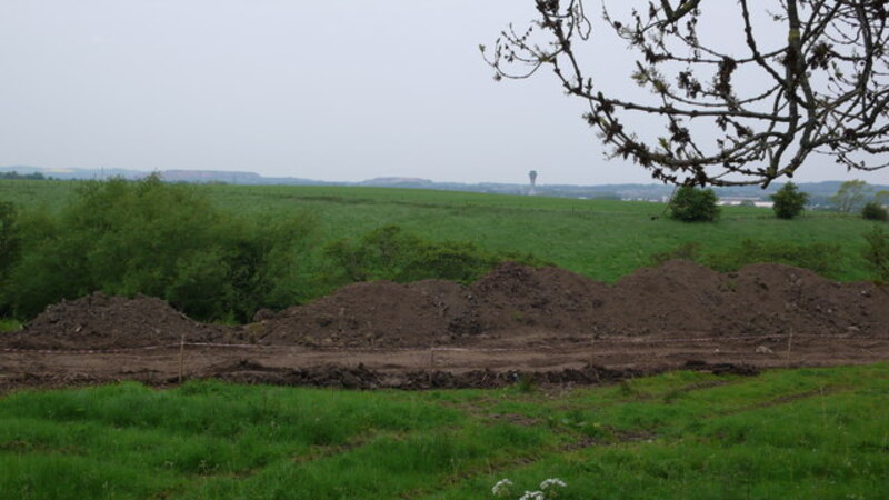Land clearing and brush removal on residential lot
